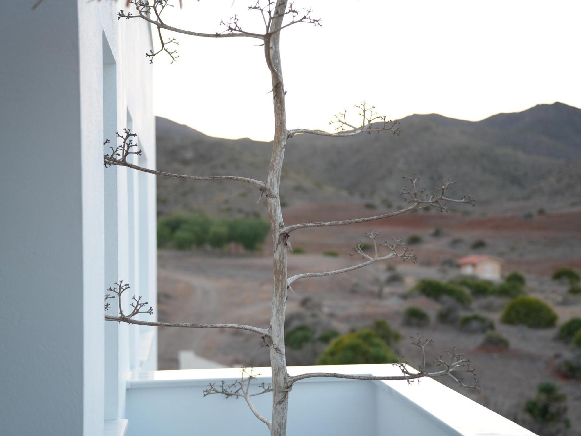 Villa Senses San Jose (Almeria)